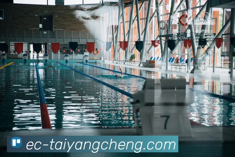 澳门太阳城网站平台生态图